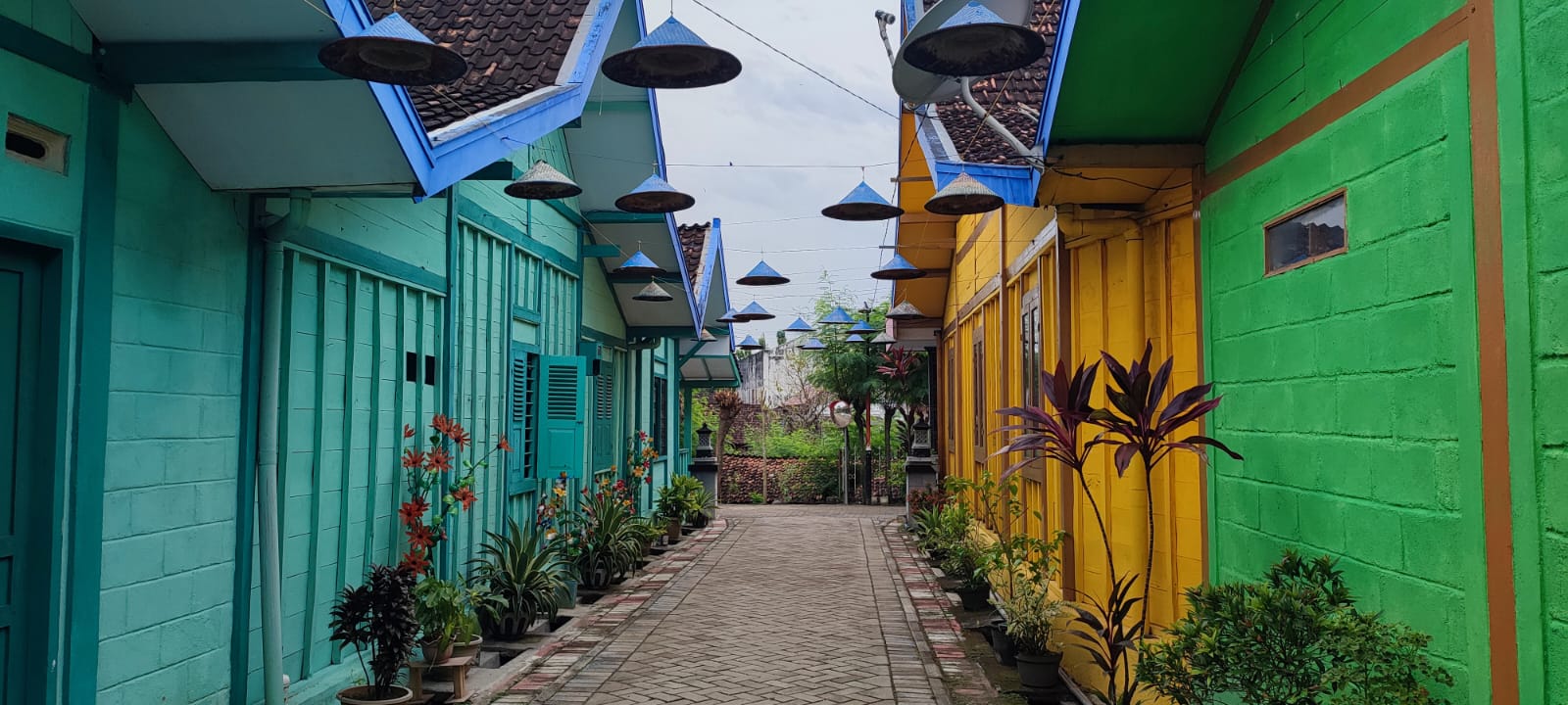 Menyantap Suguhan Suku Samin, Pindang Ikan Salem-nya Sedap Menggoda samin1-1