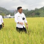 Wapres: Difersifikasi Pangan, Konsumsi Beras Harus Diturunkan jadi 85 Kg per Kapita syahrul