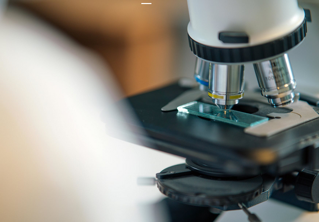 BPDP Buka Pendaftaran Grant Riset 2026 Dorong Inovasi Sektor Perkebunan